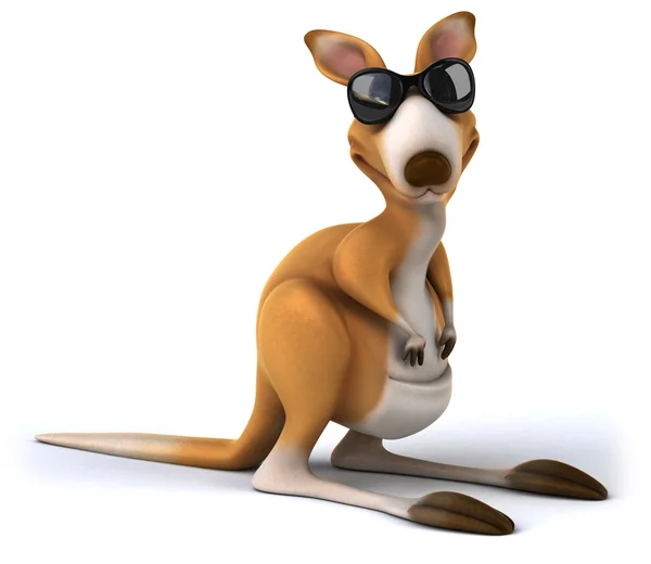 Fun kangaroo — Stock Photo, Image