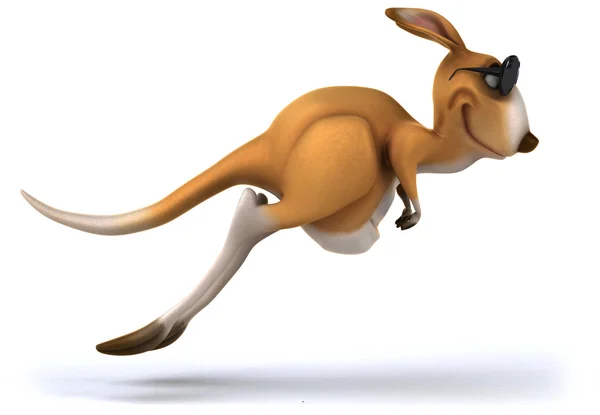 Fun kangaroo — Stock Photo, Image