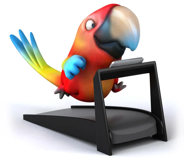 Fun parrot — Stock Photo, Image