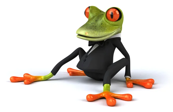 재미 있는 개구리 — 스톡 사진