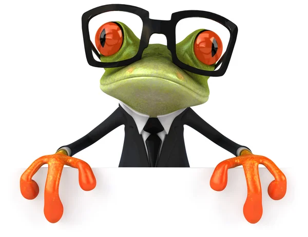 Frog — Stock Photo, Image