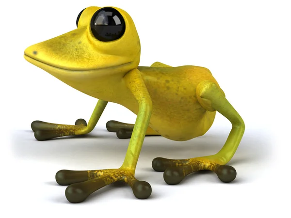 Fun frog — Stock Photo, Image