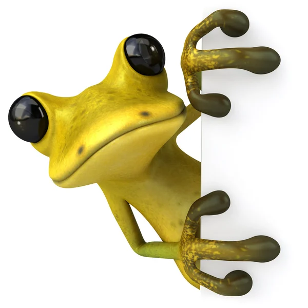 재미 있는 개구리 — 스톡 사진