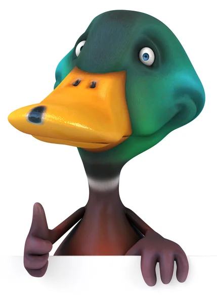 Fun Duck — Stock Photo, Image