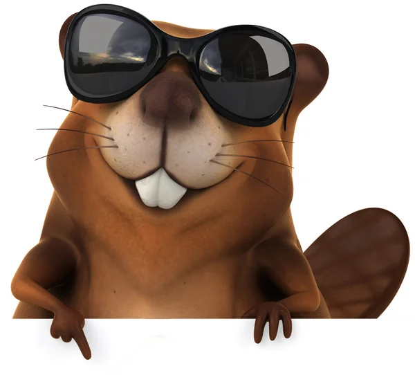 Beaver — Stock Photo, Image