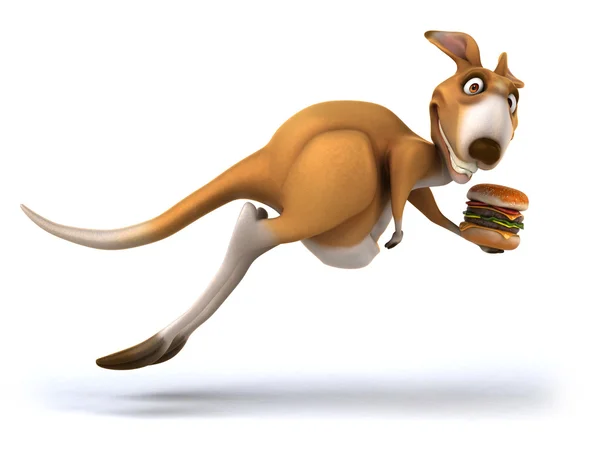 Szórakoztató kenguru — Stock Fotó