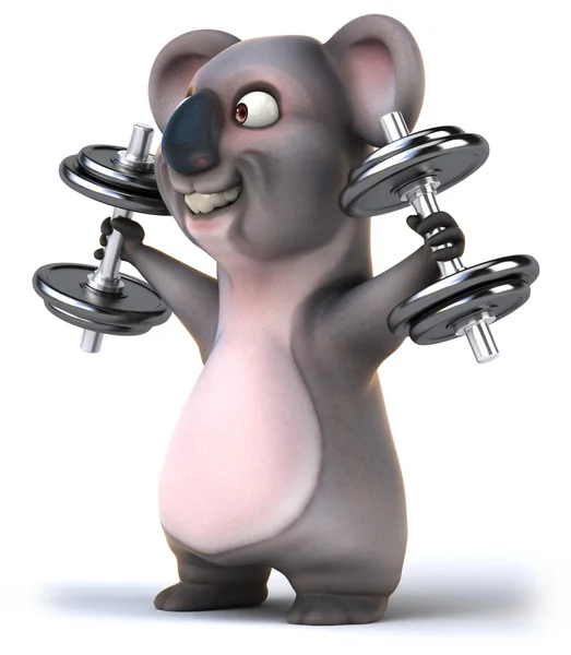 Koala — Stockfoto