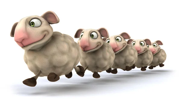 Sheep — Stock Photo, Image