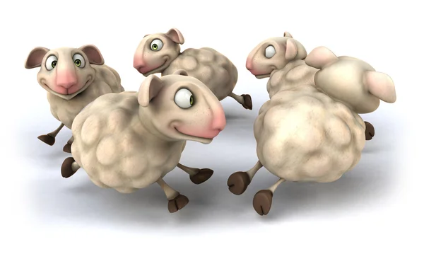 Sheep — Stock Photo, Image