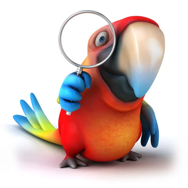 Zábava papoušek — Stock fotografie