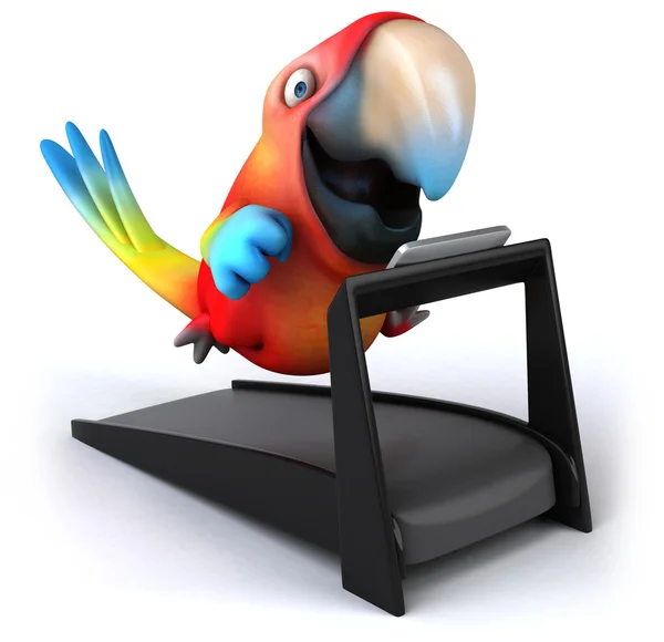 Kul papegoja — Stockfoto