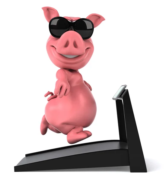 Pig . — Stock Photo, Image