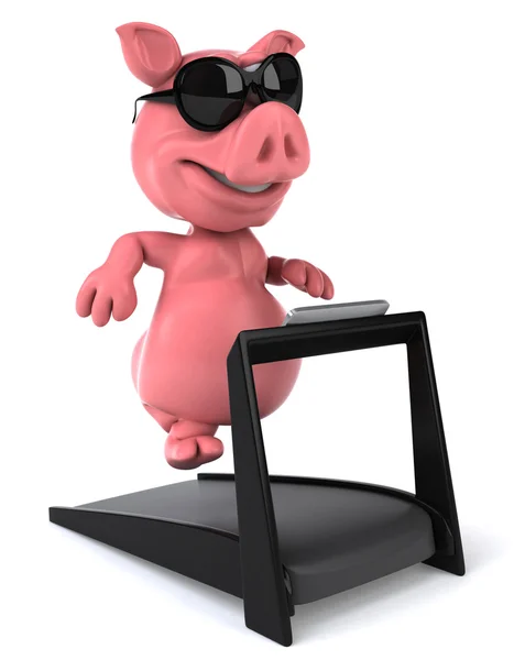 Pig . — Stock Photo, Image