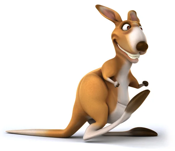 Fun kangaroo — Stock Photo, Image