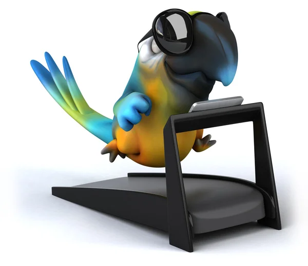 Szórakoztató papagáj — Stock Fotó