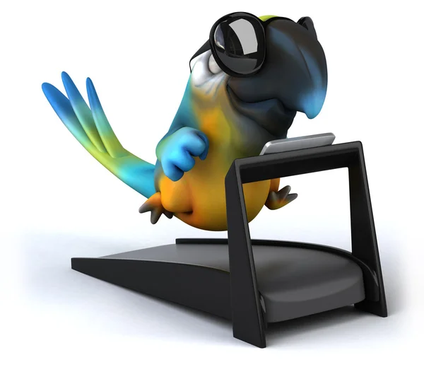 Fun parrot — Stock Photo, Image