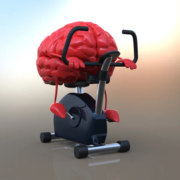 Cerebro 3d — Foto de Stock