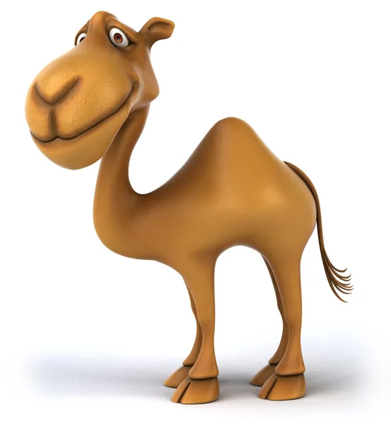 Fun Camel — Stock Photo, Image