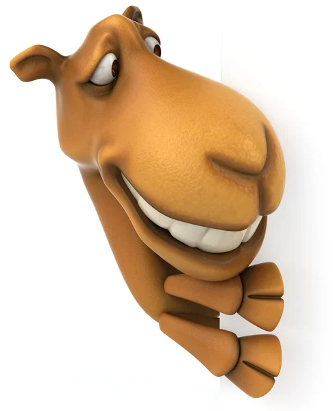 Fun Camel — Stock Photo, Image