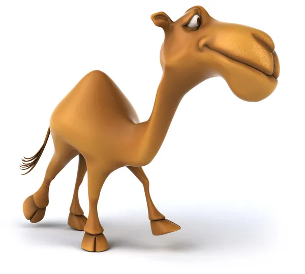 Camelo divertido — Fotografia de Stock