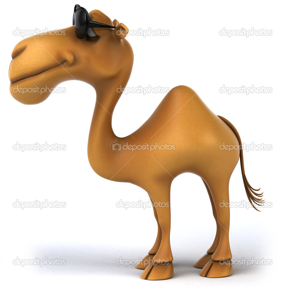 Fun Camel