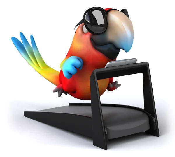 Kul papegoja på löpband — Stockfoto