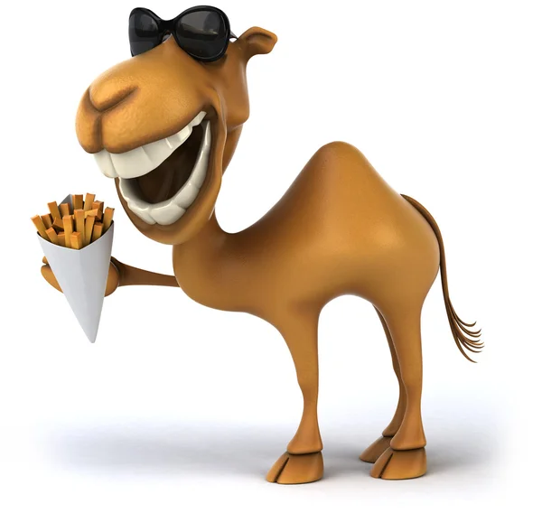 Fun Camel — Stock Photo, Image