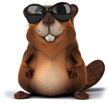 Castor em óculos de sol