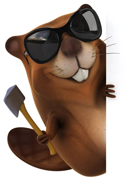 Beaver in zonnebril — Stockfoto