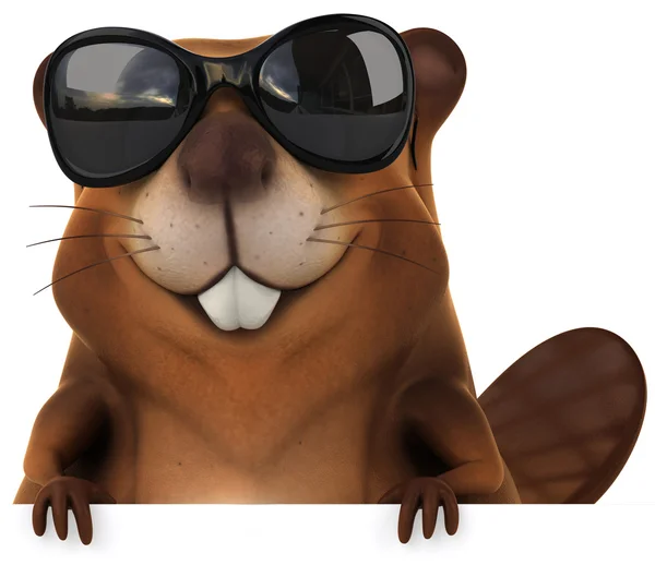 Beaver in sunglasses — Stock Photo, Image