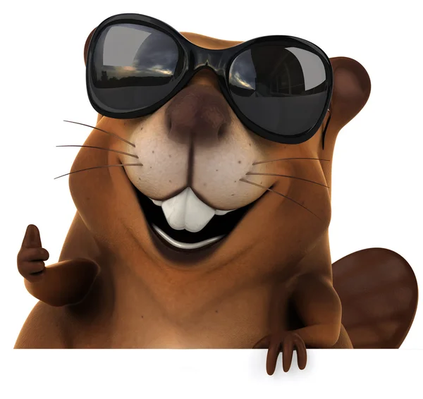 Beaver in sunglasses — Stock Photo, Image