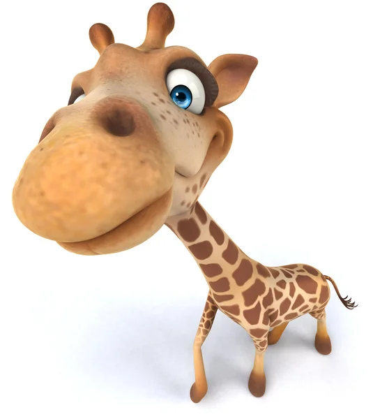 Kul giraff — Stockfoto