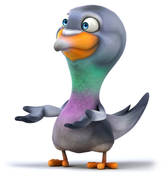 Fun pigeon — Stock Photo, Image