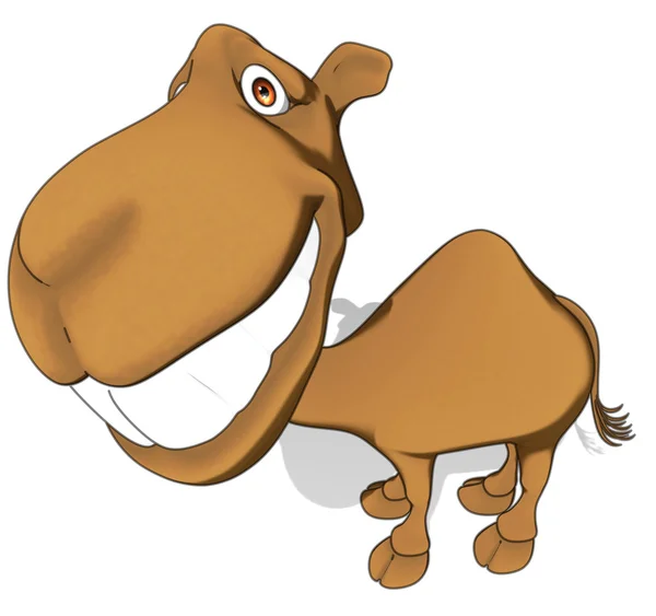 Fun camel — Stock Photo, Image