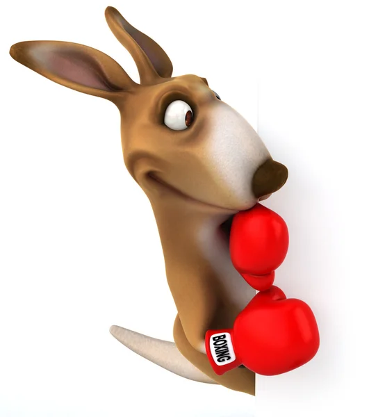 Kangaroo with red boxing gloves — Stock Photo, Image