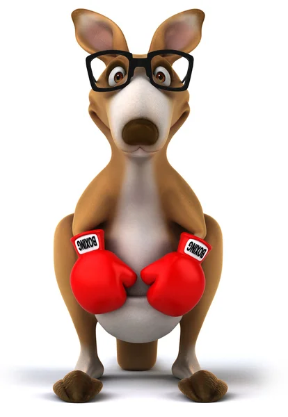 Klokan s červeným Boxerské rukavice — Stock fotografie