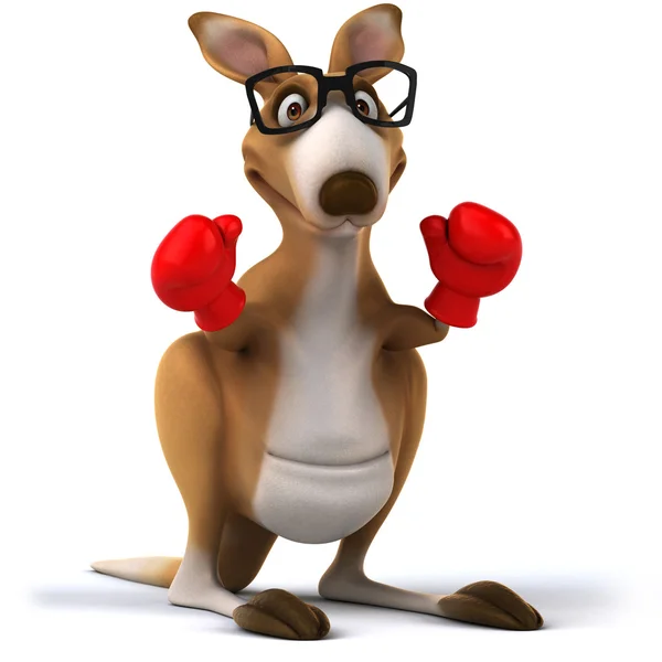 Kangaroo with red boxing gloves — Stock Photo, Image