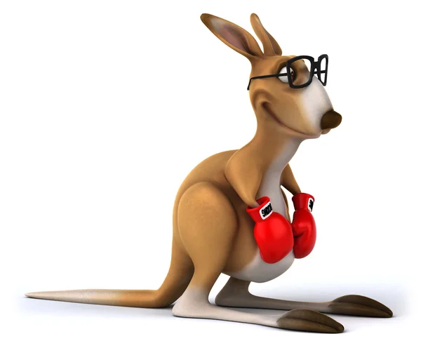 Kangaroo with red boxing gloves — Stock Photo, Image