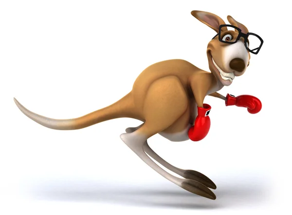 Känguru med röda boxningshandskar — Stockfoto