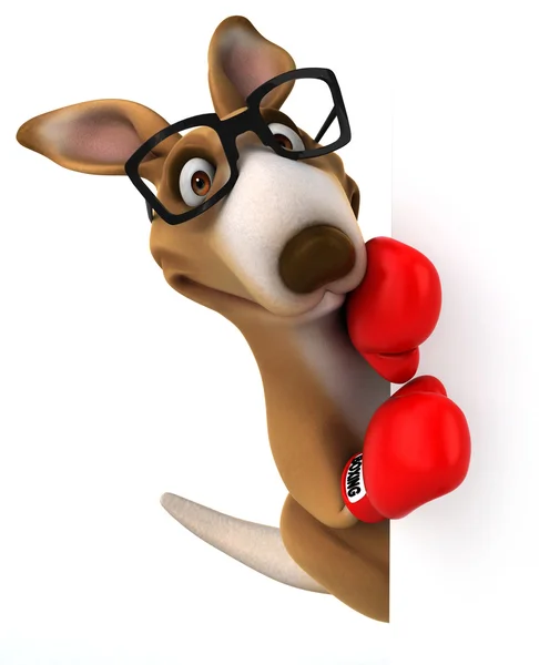 Känguru mit roten Boxhandschuhen — Stockfoto