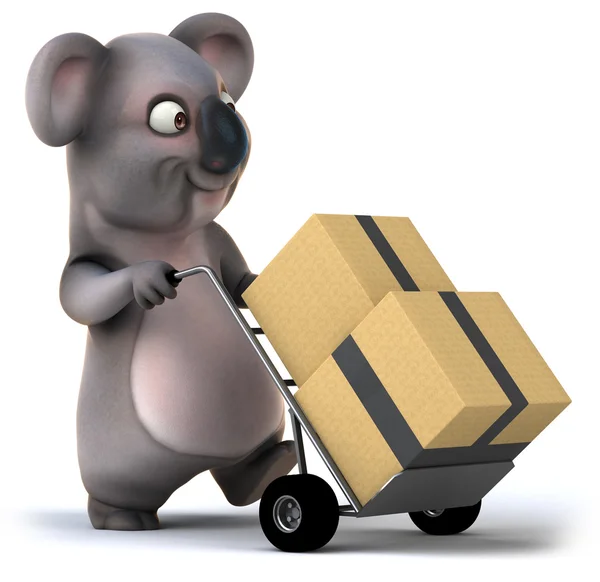 Koala con cajas —  Fotos de Stock