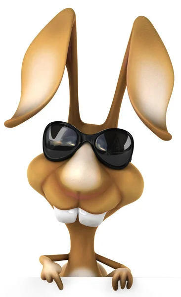 Fun rabbit in sunglasses — Stock Photo, Image