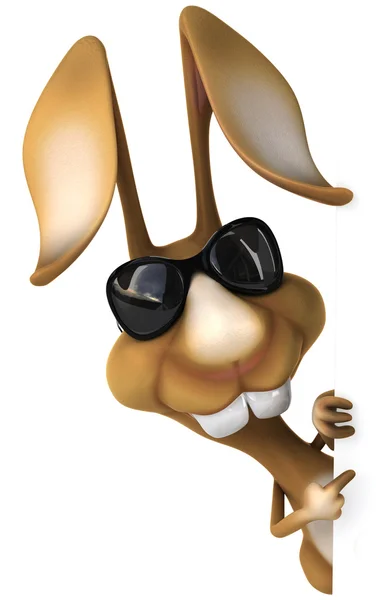 Eğlenceli bir tavşan güneş gözlüğü — Stok fotoğraf