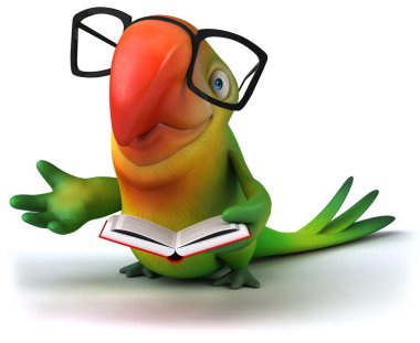 kitap ile yeşil papağan