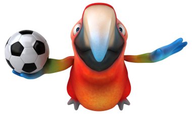 Topla eğlenceli papağan