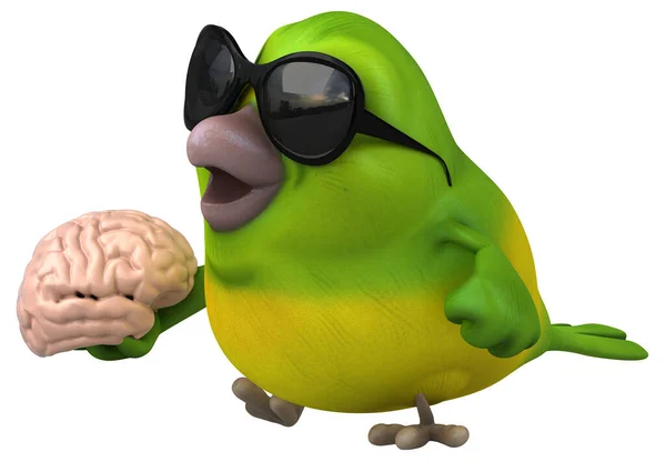 有大脑的绿色有趣鸟 3D图解 — 图库照片
