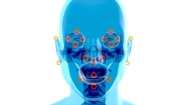 脑和面部识别的X光抽象艺术 3D图解 — 图库照片