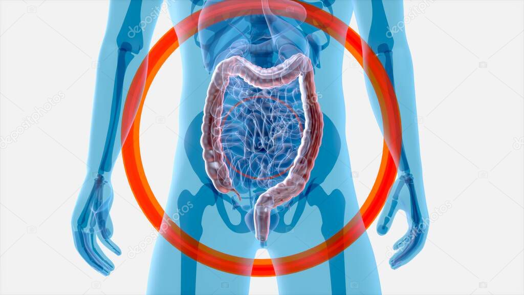 Abstract art of the gut system - 3D Illustration