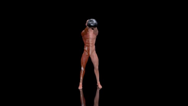 Animation Anatomy Ray Man Exercycing Kettlebell — Stock Video