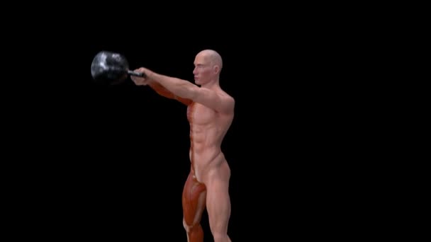 ケトルベルを用いたエックス線男運動の解剖学の3Dアニメーション — ストック動画